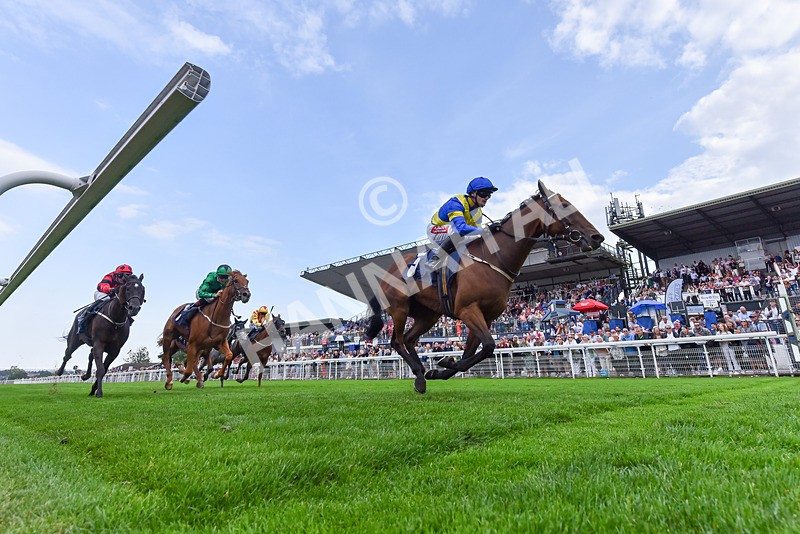 240825-Race 6-Dr Rio-0368 - Race 6