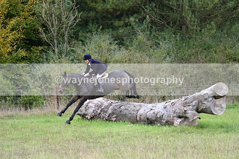 WJ7_3620 - Camera 1 Line 1