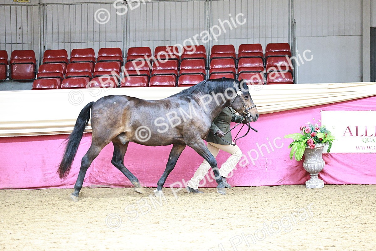 SBM_04671 - Class 7R - Regional IH Diamond