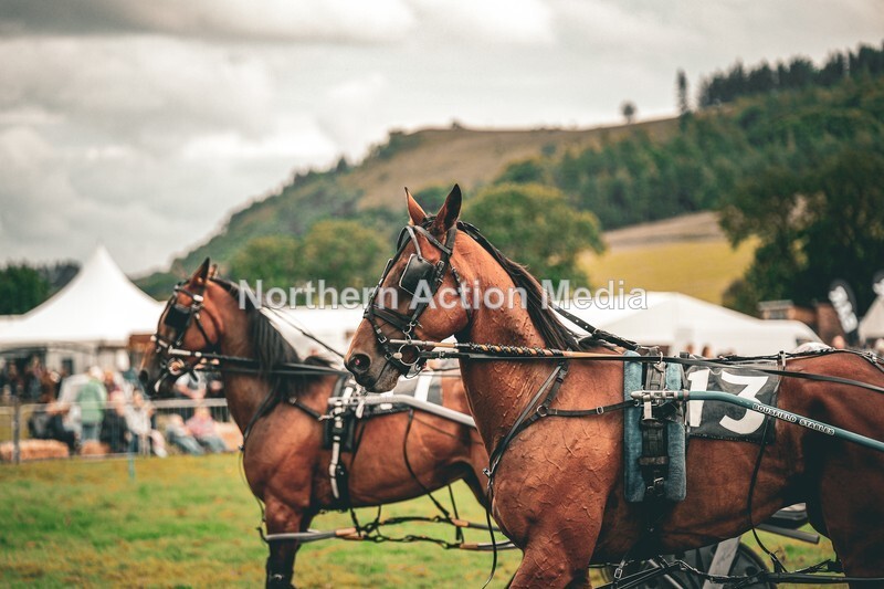 DSCF7369 - Kilnsey Harness racing