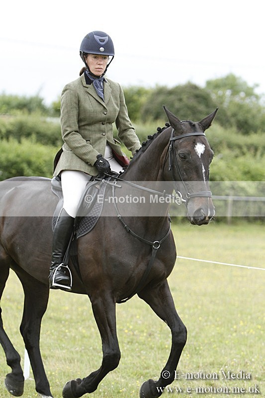 BVR160717-940 - Ring 3 BVRC Show 16/07/17