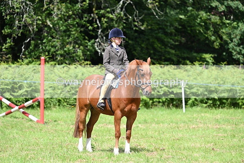 WJ7_1865 - Class 9 Pony Club Pony