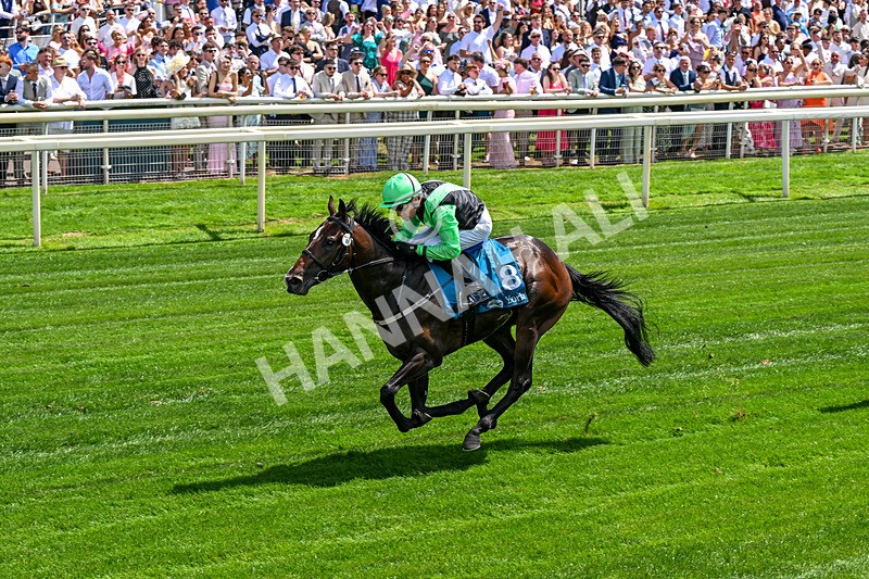 270626-Race 1-Sirocco Sands-0100 - Race 1 13.20pm Al Basti Equiworld Dubai Novice Stakes
