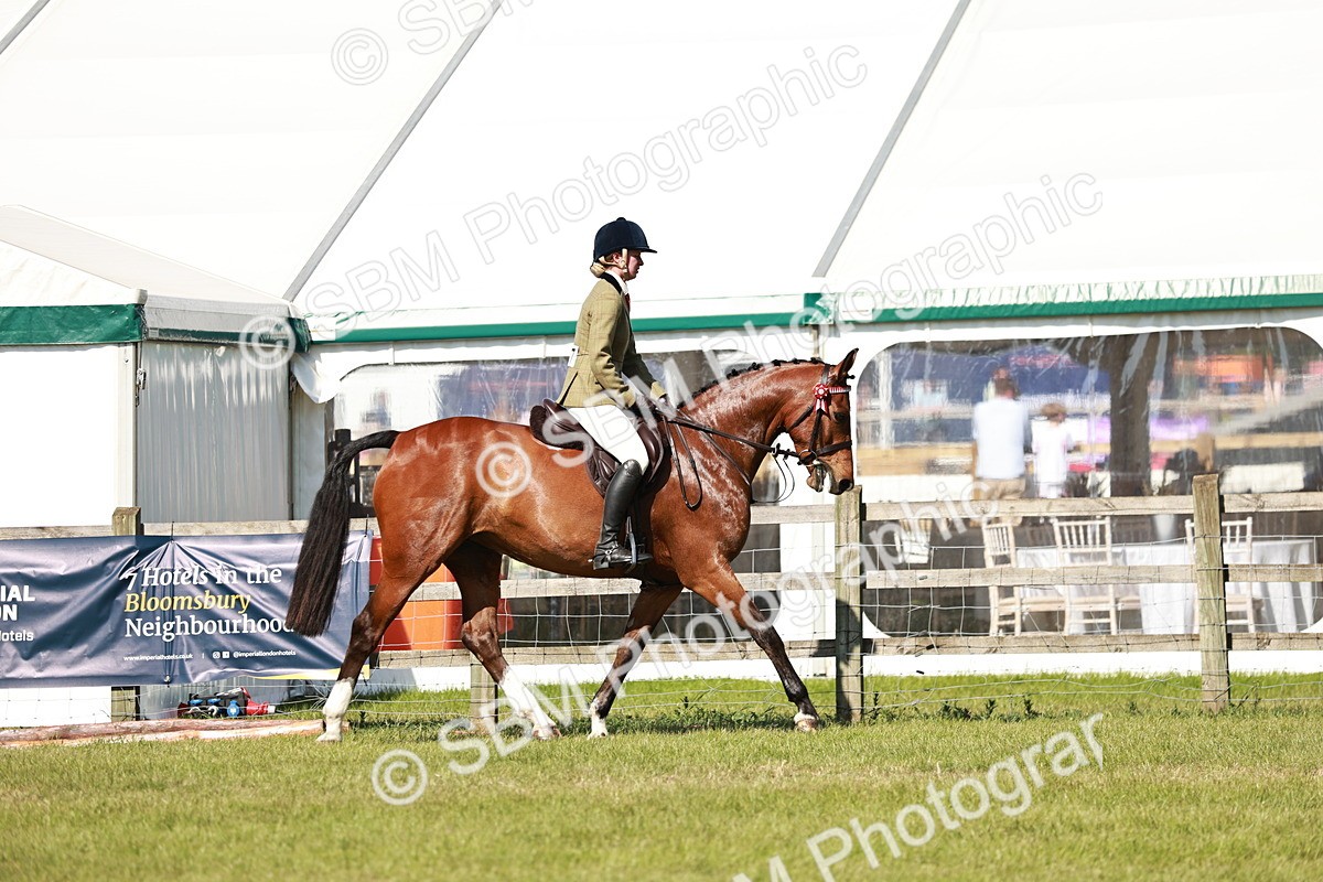 SBM_18870 - Class 114 - RIHS & SEIB Open Working Show Horse