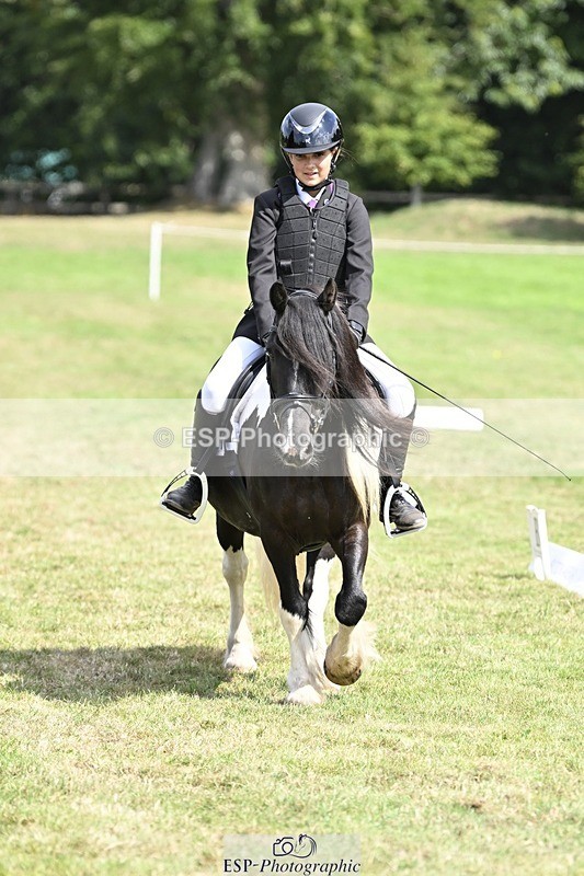 250821A-114016-15275 - DR 11.00 to 12.00