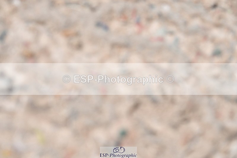 230520A-125508-00951 - Cls 5 Prelim 18