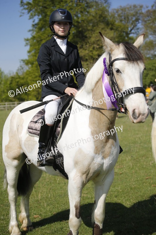 20250427-0462 - Class 12 - Rookie Jumping 40cm