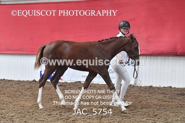 JAC_5754 - 11 Pandora of Westoak