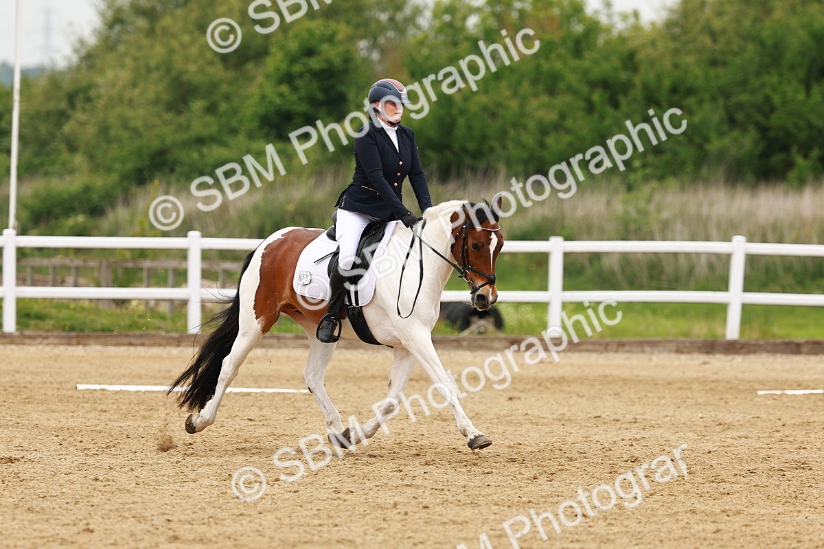 SBM_001538 - Class 7 - Novice 5