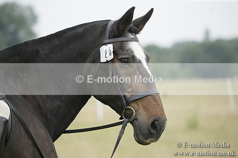 B230619-0314 - Bourne Valley Riding Club Summer Show 23/06/19