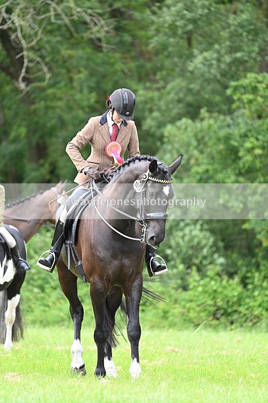 WJ7_1597 - Class 11 Condition & Turnout