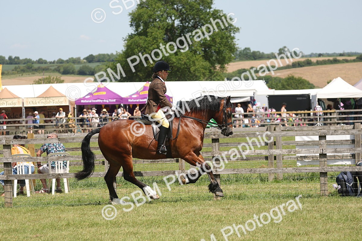 SBM_06933