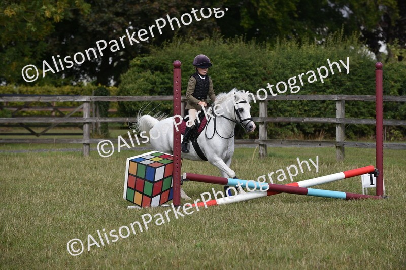 20250831-1805 - Class 8 - Hoof and Foot