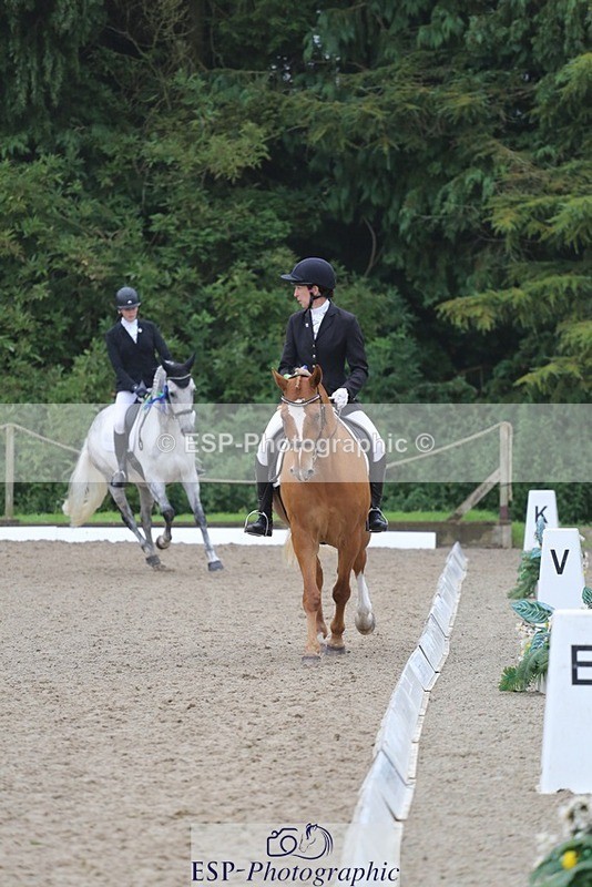 240720-125032-05154 - Cls 5 Novice BRONZE