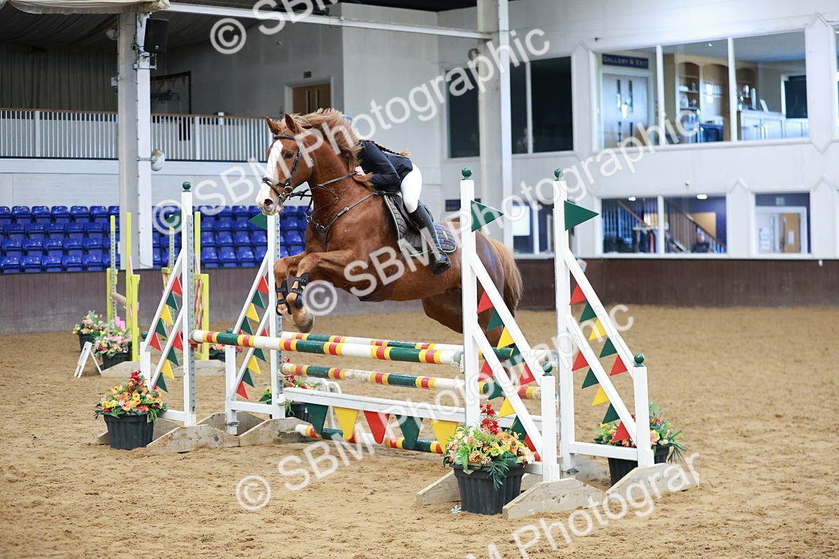 SBM_002999 - Class 9 - Senior British Novice - 90cm
