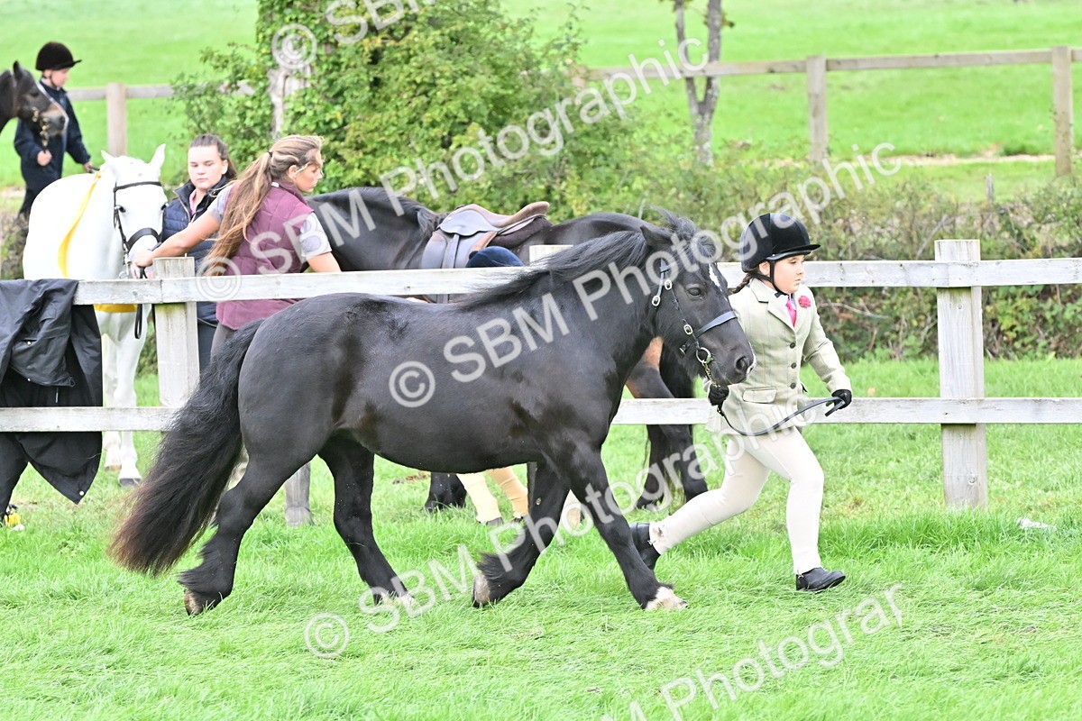 SBM_66786 - S41 - Junior Handler 8 Years & Under