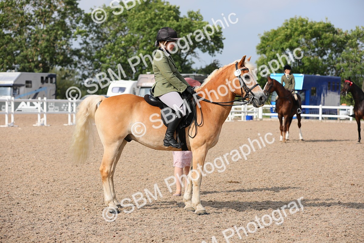 SBM_11417 - Class 305 Ridden Foreign Breeds- Pure Bred