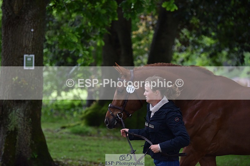 240522-164506-01130 - 219-HIT_CHAN_BOY_ALFA-Valentine_Emsens