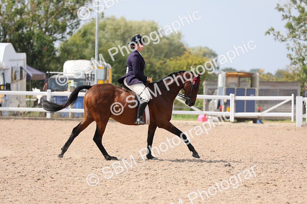 SBM_15591 - Class 311 Ridden Show Pony/ Show Hunter Pony
