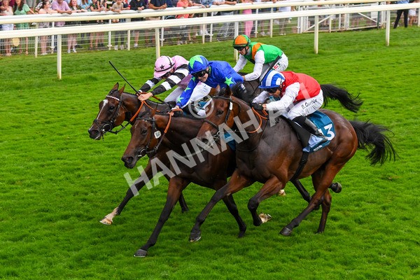 100923-Race 6-Anjo Bonita-1081 - Race 6 4.25pm Hanson Springs 60th Anniversary Handicap at York