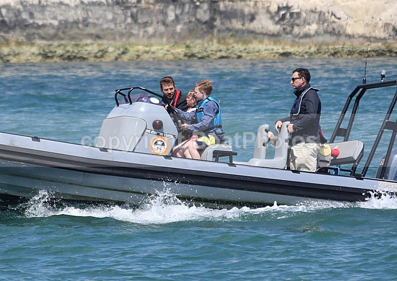 130526 ANIMAL RIB WT7A4517 - RIBs, Tenders, Dories, Dinghies