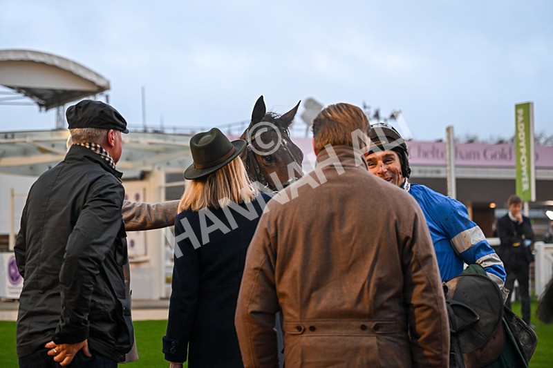 151125-Race 7-Divine Diva-4867 - Race 7