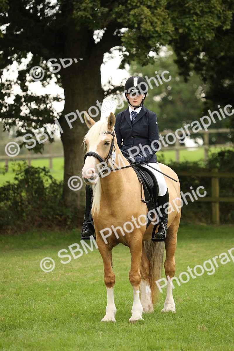 SBM_73821 - S41 - Ridden Equitation (Best Rider)