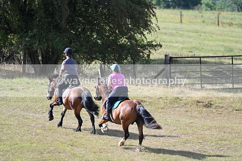 WJ7_3799 - Time 10:33 to 10:53