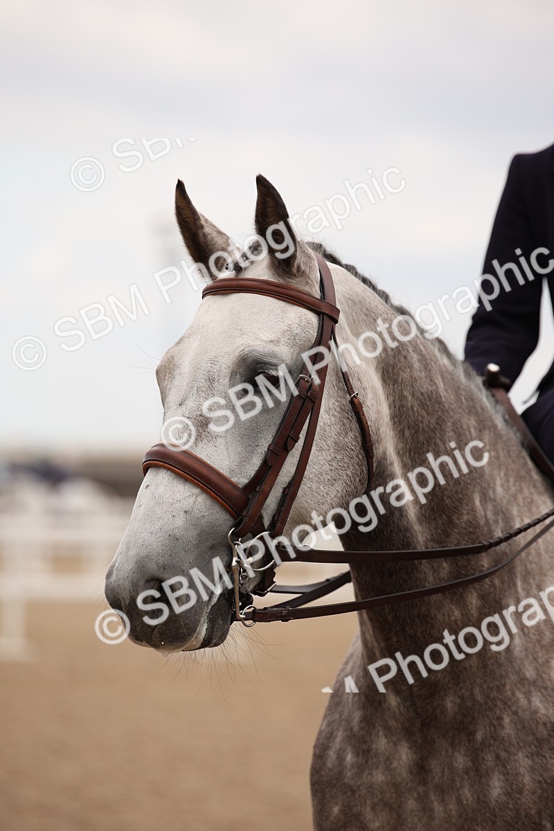 SBM_05499 - Class 22 SSA Equitation