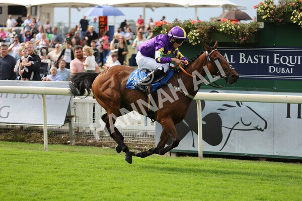 yr04092022p2-30 - 12.50pm. 148cm Open Pony Race