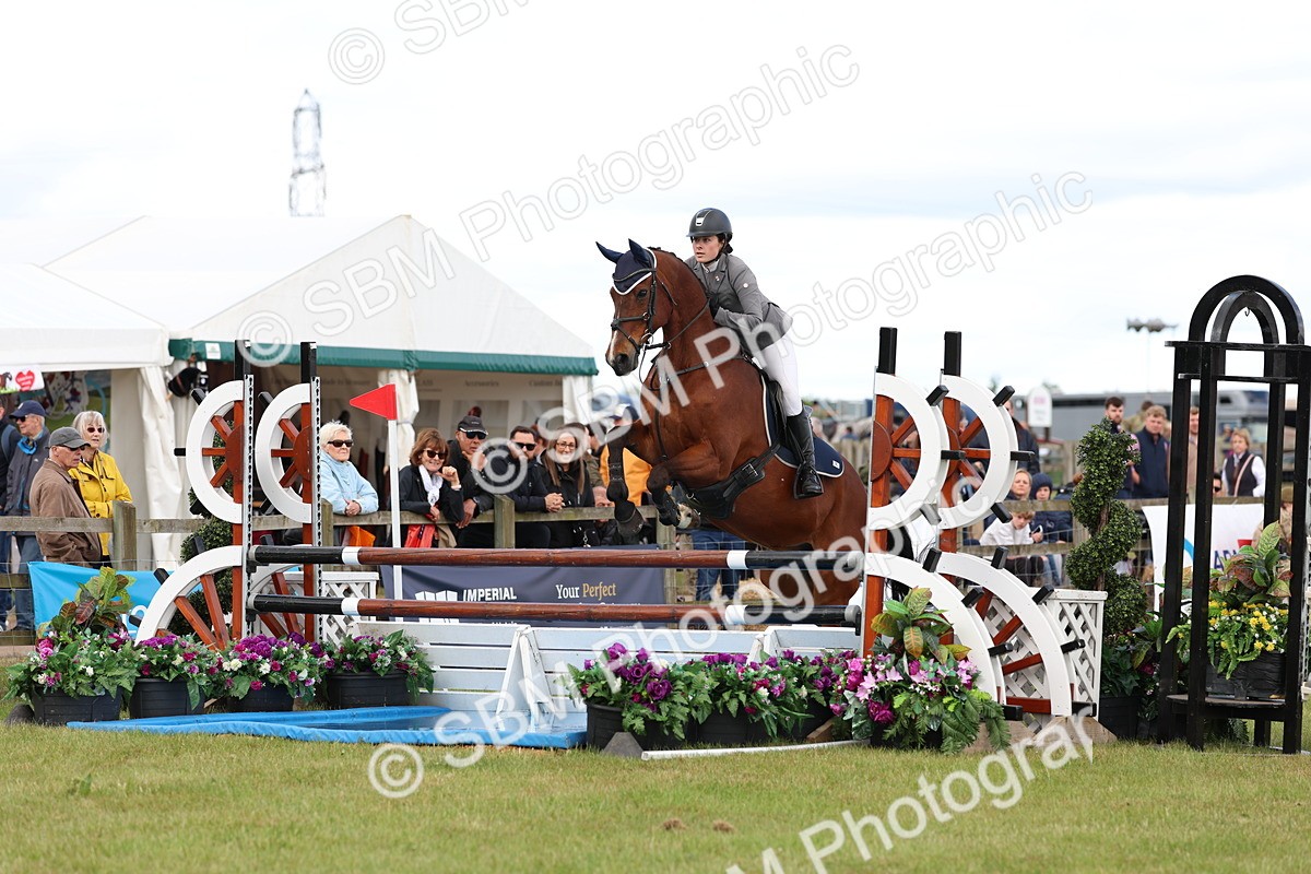 SBM_13796 - Class 206 - Senior Newcomers - 1.10m Open