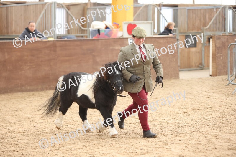 20251109-0396 - Class 15 - Coloureds