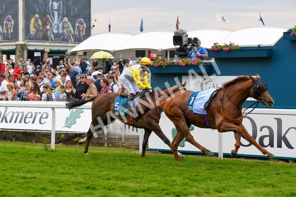 170623-Race 1-Kihavah-0217 - Race 1 2.00pm Queen Mother's Cup Handicap
