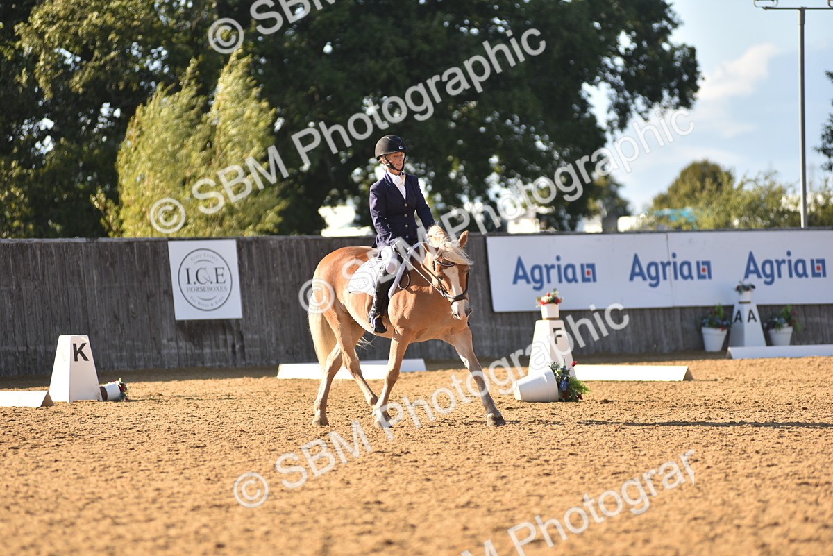 SBM_11404 - D28 - Elementary