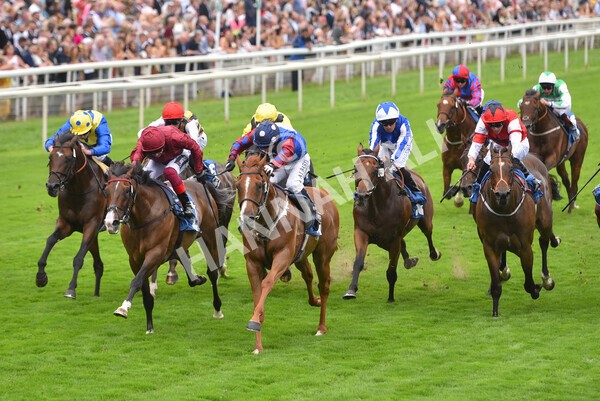 yr19082021r3-41 - Race 3 3.00pm Clipper Logistics Stakes