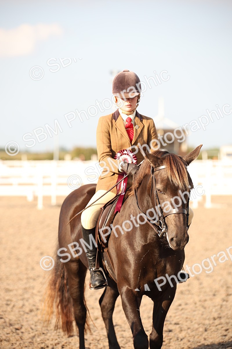 SBM_09217 - Regional Ridden Champ