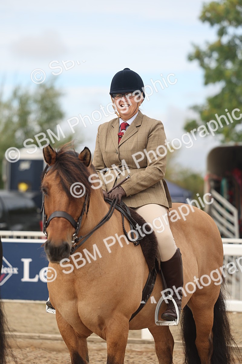 SBM_01966 - Class 14 - Ridden M&M Wildcard