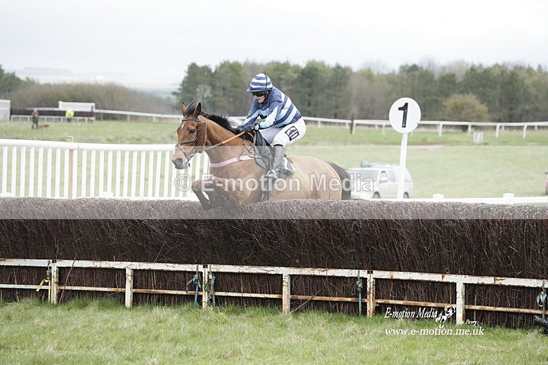 PtP 260323 0512 - New Forest Hounds Point-to-Point Larkhill 26/03/23