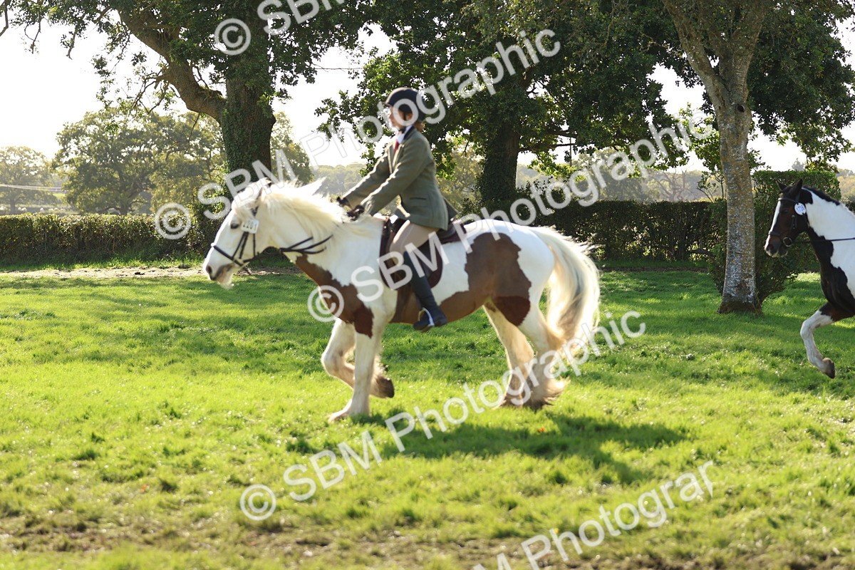 SBM_52441 - S13 - Pony Club Pony