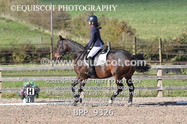 BPP_9326 - SHORT ARENA