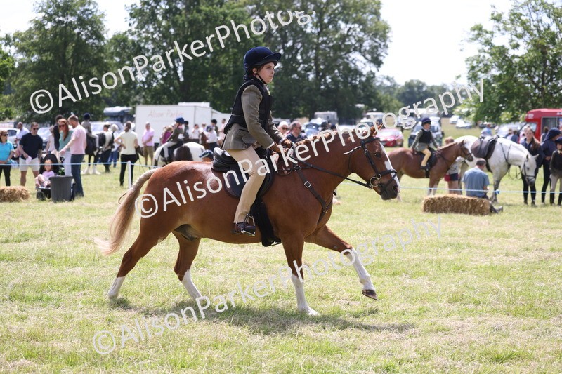 20260614-1941 - Class 21 - Novice Working Hunter Pony