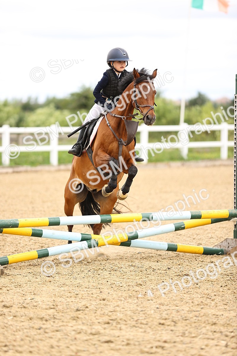 SBM_000367 - 60cm