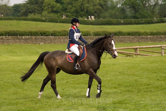 19 - Equestrian Photography