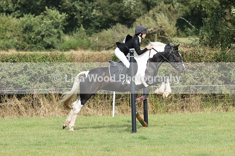 JPP_8617 - Class 2: Trekenning: 80cm Showjumping