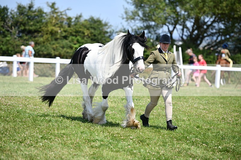 DSC_7751 - Class 64: Coloured Pony 4yrs & over
