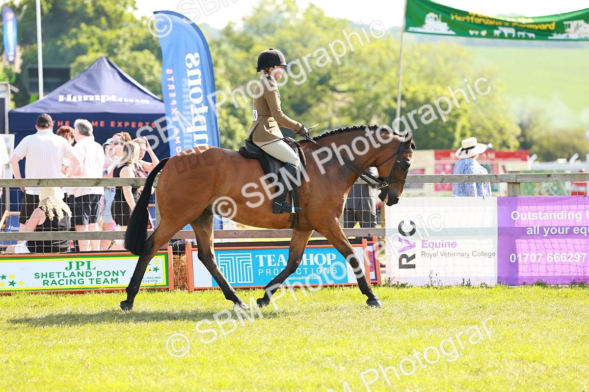 SBM_12026 - Class 66-69 - RIHS Ridden Hunters Inc Small Hunter