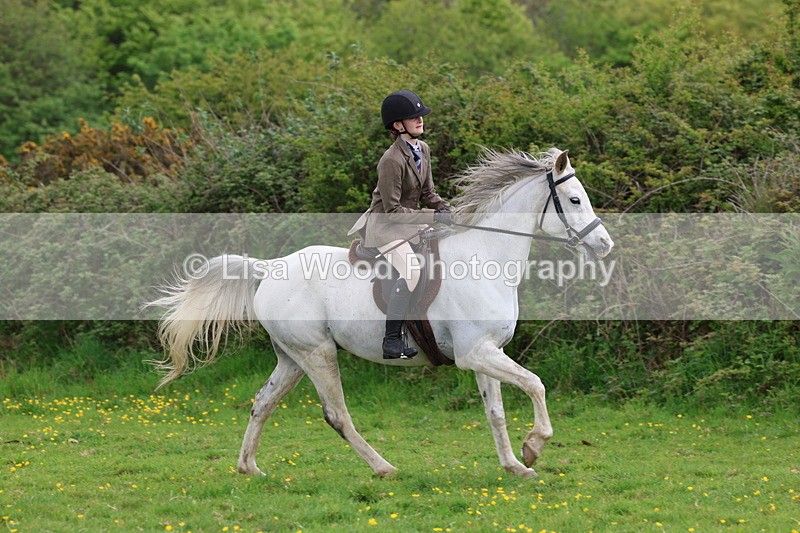 3E7A2089 - Class 11: Ridden Arab