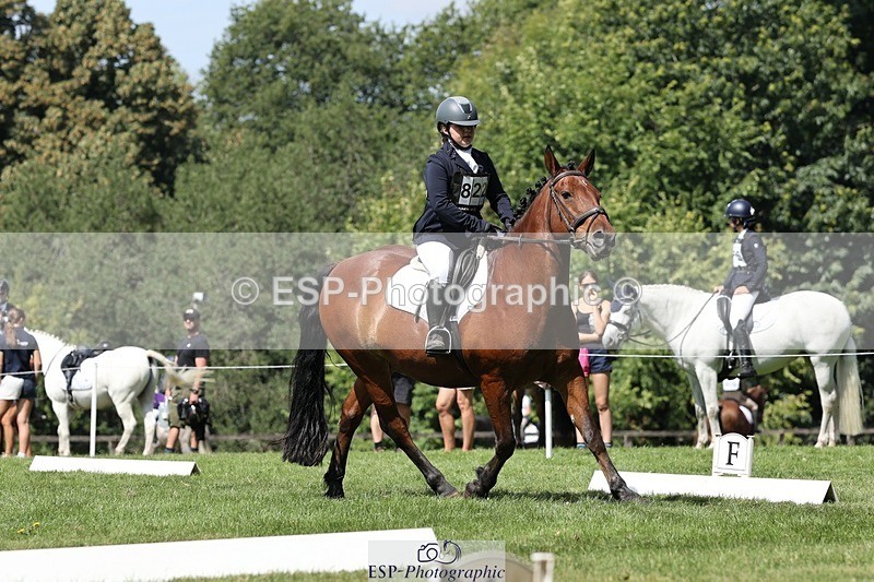 250823A-124352-29579 - Arena D