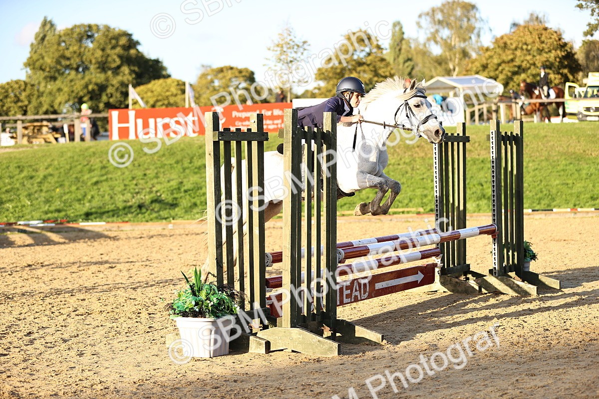 SBM_54290 - Supreme Championship 70cm 75cm