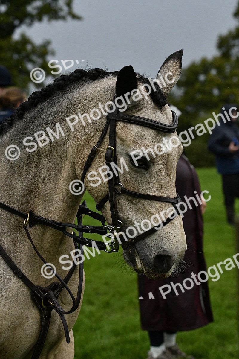 SBM_35556 - S30 - Nursery Stakes Working Hunter Pony